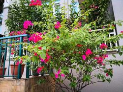 Summerhill (D21), Condominium #577263541